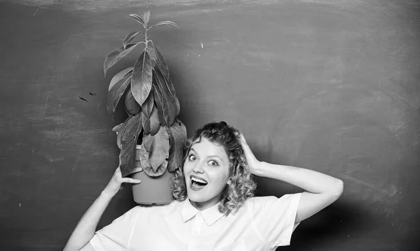 Chica estudiante feliz con planta en pizarra. árbol del conocimiento. ecología de aprendizaje escolar. profesora de gafas en la clase de biología. estudio de naturaleza escolar. educación ambiental. espacio de copia —  Fotos de Stock