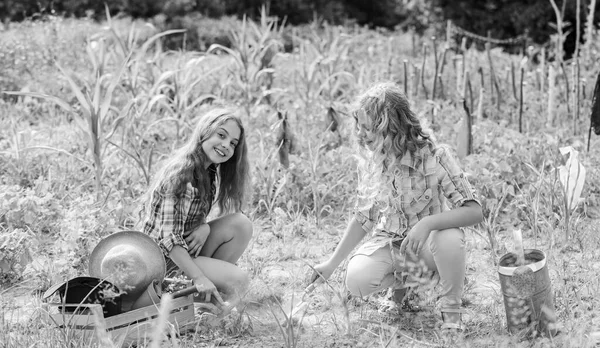 Trabaja para ti. proteger la naturaleza. Cosecha rica. Día de la Tierra. granja familiar de verano. niños trabajan en el uso de campo herramienta de jardinería. niñas pequeñas agricultor en el jardín del pueblo. agricultura feliz. lado del país de primavera — Foto de Stock