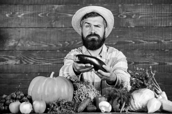 Farmer with homegrown vegetables harvest. Organic pest control. Man with beard proud of his harvest wooden background. Excellent quality harvest. Organic fertilizers make harvest healthy and rich
