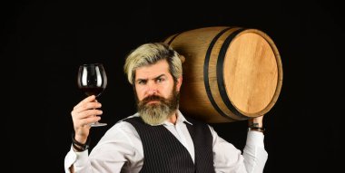 Sommelier iş başında. Fıçılı şık takım elbiseli sakallı iş adamı. Sommelier 'in pahalı bir içeceği var. Zarif garson şarap taşıyor. Şarap mahzeninde çalışıyorum. Şarap barı ya da şaraphane. şarap degukasyonu