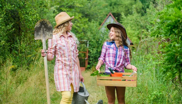 Les bases du jardinage. L'été à la campagne. Des soeurs qui aident dans la cour. Les outils de jardin adaptés aux enfants assurent la sécurité du jardinier enfant. Filles avec des outils de jardinage. Jardinage enseignement cycle de vie processus — Photo