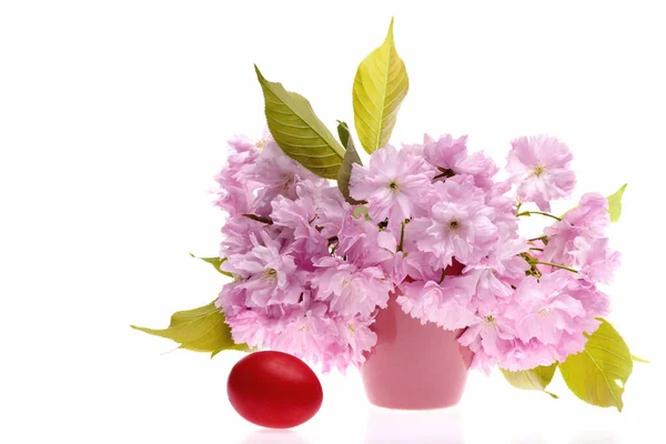 Huevo tradicional de Pascua en rojo con ramo de sakura rosa — Foto de Stock