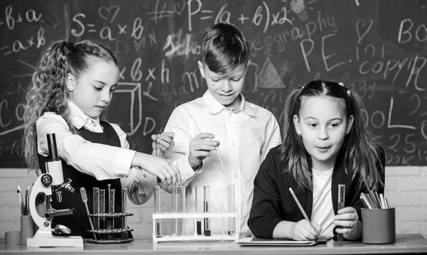 School chemistry lesson. Test tubes with substances. Formal education. Girls and boy student conduct school experiment with liquids. School laboratory. Group school pupils study chemical liquids