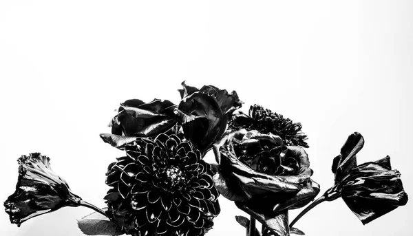 Floristics business. Glamour. metallized antique decor. vintage retro. wealth and richness. grunge beauty. Isolated on white. silver black chrysanthemum and rose flower. Birthday gift — Stock Photo, Image