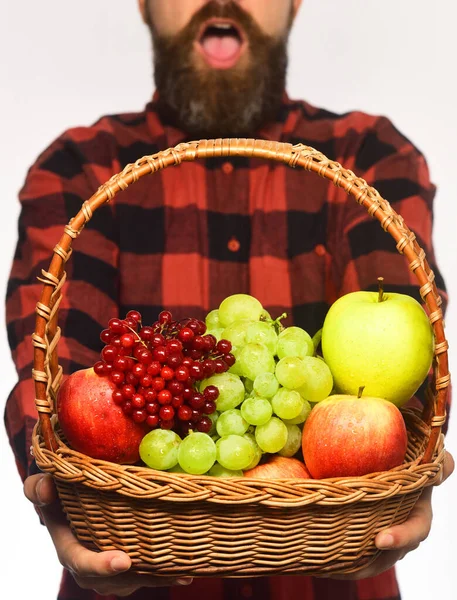 Hombre con barba sostiene cesta con fruta sobre fondo blanco, — Foto de Stock