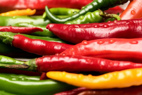 Mexican spicy peppers of long shape. Agriculture and fresh food — Stock Photo, Image