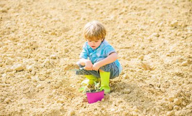 doğal toprak. tarımda yeni teknoloji. dünya günü. yaz çiftliği. mutlu çocuk bahçıvan. botanik işçisi. Çiçeklerle çalışıyorum. ekoloji yaşamı. eko çiftlik. insan ve doğa. küçük çocuk bir çiçek dikim