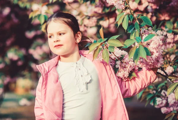 Malé holčičce v jarní květině kvete. vůně, alergie. na potřebou. Přírodní kosmetika pro kůži. šťastná dívka v třešňově květině. Kvetoucí strom Sakura. Letní. Jakákoliv sezóna je nádherná — Stock fotografie