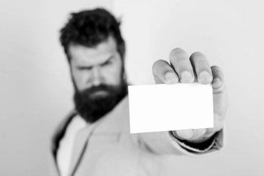 Berber dükkanı konsepti. En iyi berber ustası. Beyefendiler için berber dükkanı. Vahşi güzellik. Ciddi sakallı adam kartviziti. kopyalama alanı. Kendinden emin bir iş adamı. Boş bir kağıt parçası. seçici odak