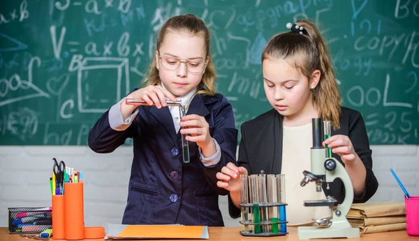 Scuola privata. Indagine sui progetti scolastici. Esperimento scolastico. Concetto scientifico. Studenti di ginnasio con approfondimento delle scienze naturali. Ragazze uniforme scolastica occupato con dimostrare la loro ipotesi — Foto Stock