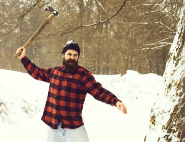 Yakışıklı vahşi oduncu ağacı kesti.