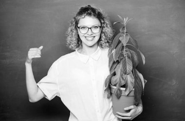 Eğitim. Okul doğa dersi. Tahtada bitki yetiştiren mutlu öğrenci kız. Çevre eğitimi. Biyoloji dersinde gözlüklü kadın öğretmen. Bilgi ağacı. Okul öğrenimi ekoloji bahçıvanlığı