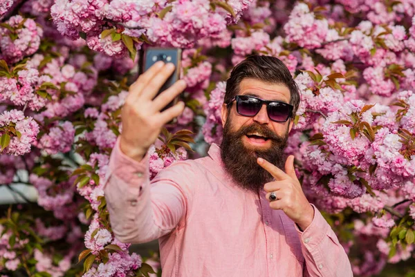 Capturing a happy moment. Bearded stylish man. Male fashion. Spring day. Happy easter. brutal mature hipster use mobile phone in cherry bloom. bearded man enjoy sakura blossom. be happy