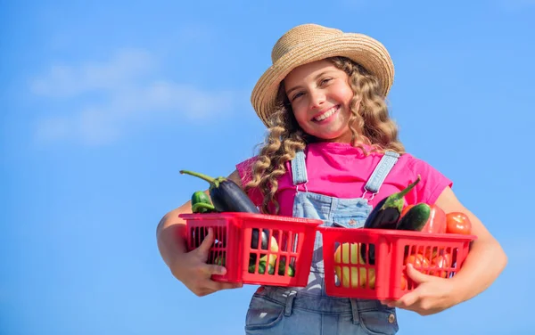 Dostça bir bakış. hasat vitamini. Bahar pazarı bahçesi. Sepette küçük bir sebze kız. Çok doğal. Çocuk yaz çiftliğinde. Organik yiyecekler. Mutlu küçük çiftçi. Sonbahar hasadı. çocuklar için sağlıklı yiyecekler — Stok fotoğraf