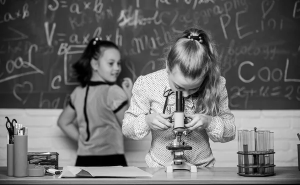 A caminho do sucesso. experimentos científicos em laboratório. Pesquisa de química. Aula de Biologia. Raparigas no laboratório da escola. Educação escolar formal. Pouco cientista trabalha com microscópio — Fotografia de Stock