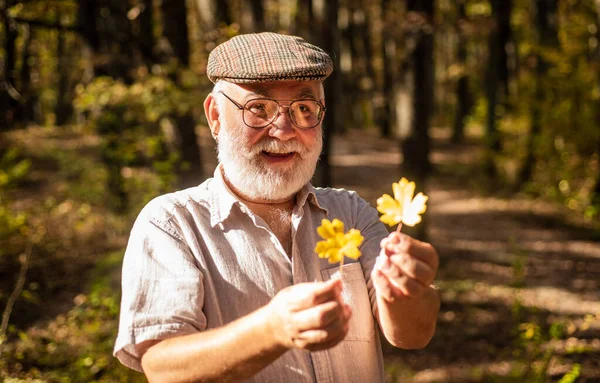 Caminhe para o lado selvagem. O velho colecciona folhas amarelas. Homem feliz desfrutar da natureza do outono. Homem barbudo com cabelos grisalhos na paisagem natural. Homem idoso ou pensionista viajam na floresta — Fotografia de Stock