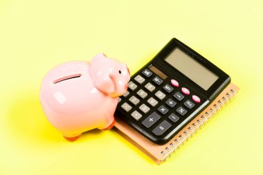 Servetinizi yönetmek ve muhafaza etmek. Finansal destek danışmanlığı. Finansal okuryazarlık kursları. Piggy Bankası 'nın birikimleri. Kredi birliği konsepti. Finansal yardım hizmetleri. Mali rapor