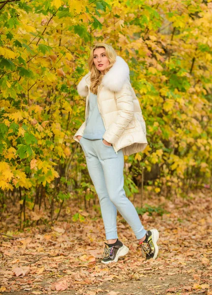 여자들은 공원에서 가을을 즐긴다. 따뜻 한 질감. 실용성 과위 로를 느끼 십시오. 기본적 인 옷가지는 다음 과같다. 자연 속에서 휴식을 취하는 소녀는 뜨개 질로 만든 양복 과 재킷을 입는다. 휴식을 위한 옷 — 스톡 사진