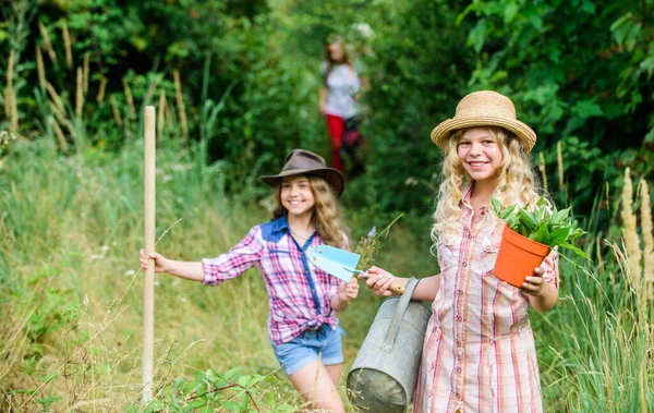 Sisters helping at farm. Kids siblings having fun at farm. On way to family farm. Taking care of plants. Girls with gardening tools. Eco farming concept. Adorable girls in hats going planting plants — Stock Photo, Image