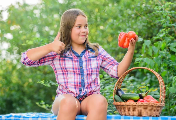 Mijn favoriete eten. vitamine oogsten. lentetuin. gelukkige kleine boer. Herfst oogst. gezond voedsel voor kinderen. kleine meid groente in mand. Heel natuurlijk. kind op zomerboerderij. Biologisch voedsel — Stockfoto