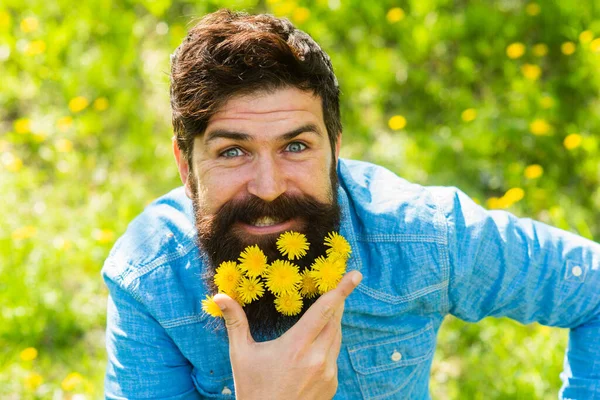 Happy man no allergy. Spring allergy concept. Fashion and beauty. Pollen allergy. Taking antihistamines makes life easier for allergy sufferers. Man with yellow dandelions in beard. Breathe free