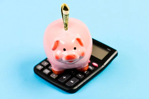 Economics and finance. Piggy bank pink pig stuffed dollar banknote and calculator. Financial wellbeing. Savings account. Savings deposit is convenient flexible way depositing savings. Money savings