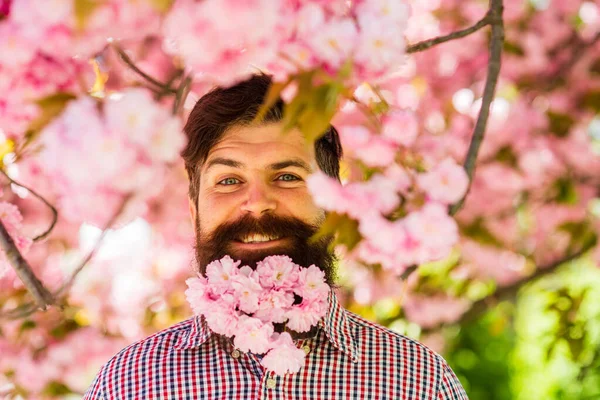 4月の出来事。自然の美しさに囲まれて。屋外でハンサムな髭の男。ハッピー・イースター。桜の中のヒップスター。桜の花の男。ピンクの柔らかい花。週末はガーデンコンセプト。公園を歩く — ストック写真