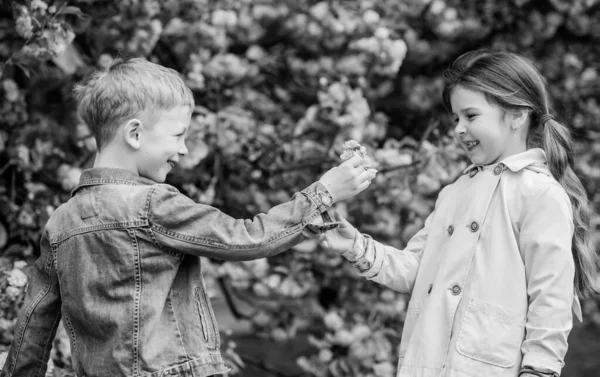 Lui donnant toutes les fleurs. Je la surprends. Les enfants apprécient la fleur de cerisier rose. Des bébés romantiques. Quelques enfants sur des fleurs de fond d'arbre sakura. Des sentiments tendres d'amour. Petite fille profiter des fleurs de printemps — Photo