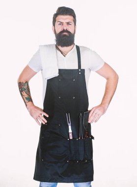 Sakallı hipster barbekü için önlük giyer. Kavurma ve ızgara yemeği. Et pişirme ipuçları. Açık havada et kavurma araçları. Piknik ve barbekü. Nasıl biftek ve barbekü için et seçin. Barbekü menüsü