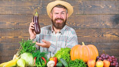 Organik haşere kontrolü. Sakallı ahşap arka planlı adam. Organik sebzeli çiftçi. Mükemmel kalitede hasat. Organik bitkileri büyümek. Organik gübreler toprağı ve bitkileri sağlıklı ve güçlü yapar