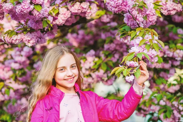 Tavaszi Style. Nyári. Gyermekkori szépséget. bőrápoló Spa. Természetes kozmetikumok a bőr. boldog lány cseresznyevirág. Sakura fa virágzó. kis lány gyermek tavaszi virág virágzik. virág illata, allergia — Stock Fotó