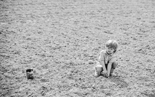 Plantar mudas. Criança se divertindo com pequena pá e planta em vaso. Plantando no campo. Um ajudante no jardim. Rapaz a plantar flores no terreno. Conceito da Mãe Natureza. Trabalho na exploração agrícola — Fotografia de Stock