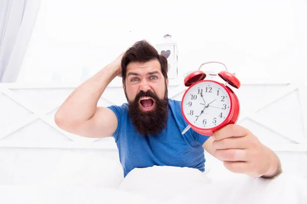 Get up right now. What time is it. Stressed man alarm clock. Sleepy man holding alarm clock in bed. Bearded man with alarm clock. Hipster want to sleep. Hate early morning awakening. Daily stress