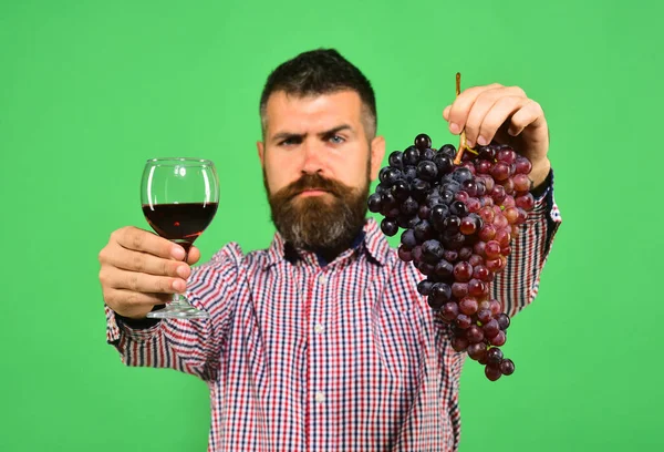 Man håller ett gäng druvor och glas vin — Stockfoto