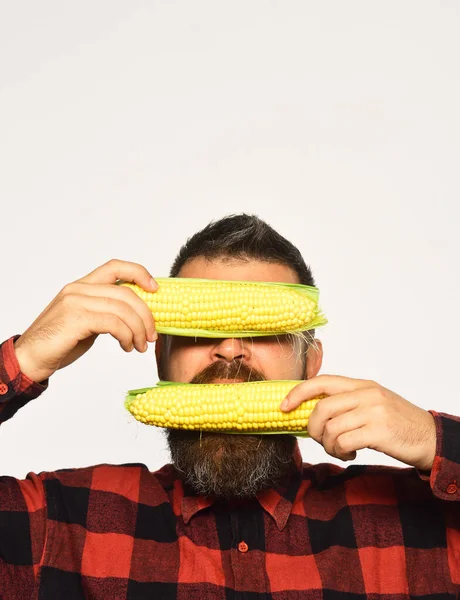 Jordbrukare med dolt ansikte med gul majs — Stockfoto