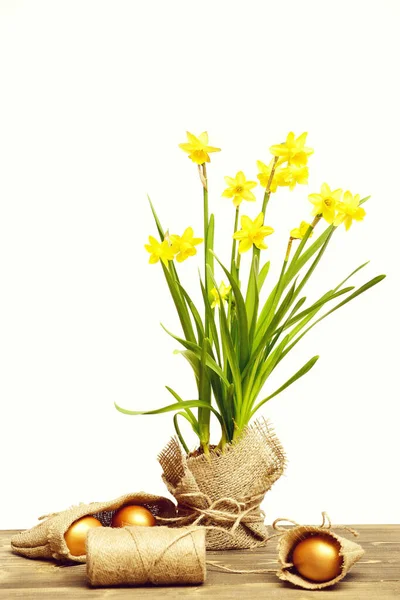 Primavera narciso amarelo, ovos de páscoa dourada e linha ou corda — Fotografia de Stock