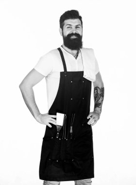 Et pişiren bahşişler. Açık havada et kızartmak için aletler. Piknik ve barbekü. Biftek ve barbekü için eti nasıl seçersin? Barbekü menüsü. Sakallı hippi barbekü için önlük giyer. Kızartma ve ızgara yemek.