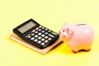 Piggy Bankası 'nın birikimleri. Kredi birliği konsepti. Finansal yardım hizmetleri. Finansal destek danışmanlığı. Finansal okuryazarlık kursları. Finansal rapor. Servetini yönetmek ve korumak.