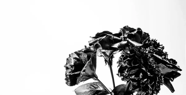 Fleur en métal. Art abstrait. La beauté éternelle. Bouquet de mode. Concept botanique. Forgeage et sculpture. Belle fleur noire argentée. Couleur acier métallique. Floral shop. Peinture métallique couverte de fleurs — Photo