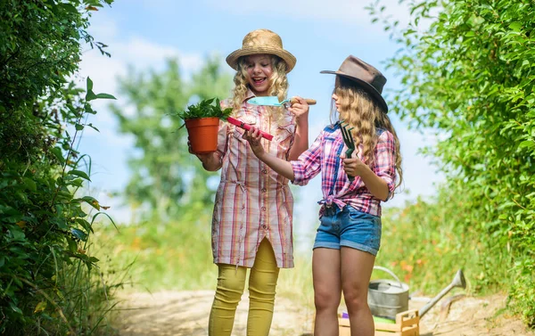 Concept d'éco-agriculture. Filles avec des outils de jardinage. Des sœurs qui aident à la ferme. Sur le chemin de la ferme familiale. Concept d'agriculture. Adorables filles en chapeaux vont planter des plantes. Enfants frères et sœurs s'amusant à la ferme — Photo