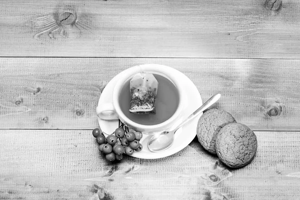 Cuidado de la salud remedios populares. Beba bebida aromática de rowanberry. Taza de té sobre fondo azul de cerca. Gourmet delicioso sabor. Menú de café. Té de baya. Copa de cerámica caliente bebida de té recién hecho — Foto de Stock