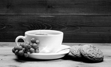 Seramik fincan sıcak demlenmiş çay içeceği. Sağlık hizmetleri kocakarı ilaçları. Aromatik rowanberry içeceği için. Mavi arka planda bir fincan çay yakın plan. Lezzetli gurme tadı. Kafe menüsü. Bitki çayı.