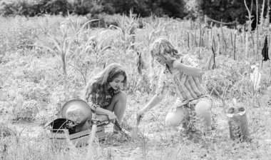 Sebze yetiştiriyorum. Sebze ekiyorum. Kardeşler birlikte çiftliğe yardım ediyorlar. Bahçe ve yataklar. Bahçede çalışan köylü çocuklar. Çiçek ekmek ve sulamak. Çiçek eken kızlar. Tarım kavramı