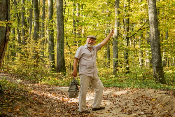 Avô com saco de caminhada na natureza. Unidos à natureza. Fim de semana na natureza. Férias e relaxe. Conceito de reforma. Idosos. Homem maduro com barba branca na floresta. Passatempo e lazer — Fotografia de Stock