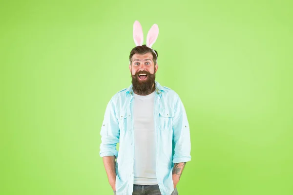 Coelhinho da Páscoa. Os hipsters felizes usam orelhas de coelho. Coelho coelho fundo verde. Coelho barbudo em estilo casual. Primavera e fertilidade. Celebração de férias — Fotografia de Stock