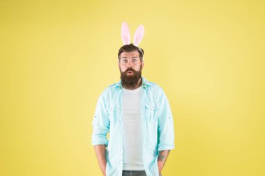 Paskalya sürprizi. Şaşırmış tavşan sarısı arka plan. Sakallı adam ağzını açık bıraktı. Hippi tavşan kulağı takar. İlkbahar. Bahar sezonu. Tatil kutlaması. Mutlu sürprizler. Tavşan sürprizi.