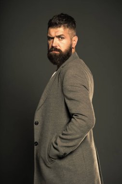 Serin ve kendinden emin hissediyorum. Modern iş adamının acımasız görünüşü. Vahşi sakallı bir hippi. Sakallı adam sıradan bir iş tarzı giyer. Acımasız ve sakallı. Berber dükkanı. Moda ve tarz