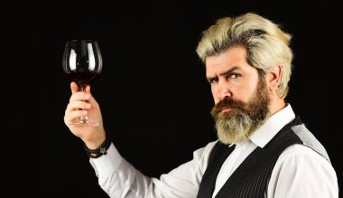 Bu iyi olmalı. Şarap arıtma. Zarif takım elbiseli sakallı iş adamı ve bir kadeh şarap. Sommelier 'in pahalı bir içeceği var. Zarif garson şarap içer. Şarap mahzeninde çalışıyorum. Bar ya da şaraphane.