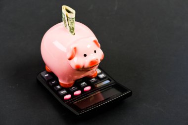 Ekonomi ve finans. Finansal refah. Tasarruf hesabı. Tasarruf. Piggy Bank Pembe Domuz dolar banknot ve hesap makinesi doldurdu. Tasarruf depozitosu tasarruf etmek için uygun esnek bir yoldur