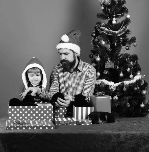 Papà e figlio con cuccioli a Natale — Foto Stock